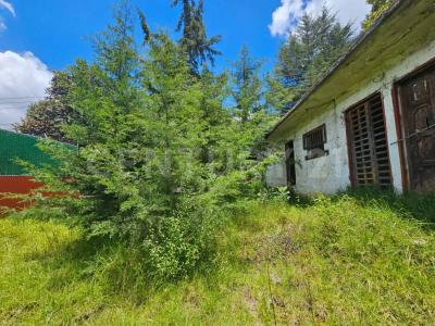 Jazmin 7,, San Cristóbal De Las Casas, Chiapas 29230, Meksika