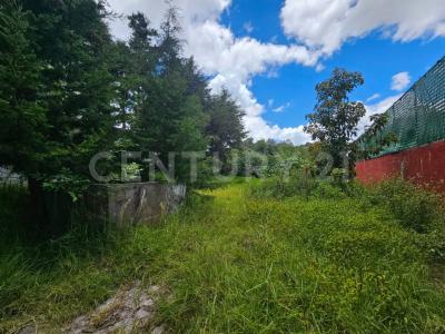 Jazmin 7,, San Cristóbal De Las Casas, Chiapas 29230, Meksika