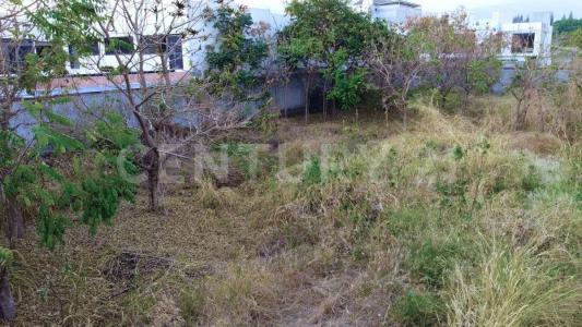 Priv Rosa Moreno s/n,, Jiutepec, Morelos 62564, México