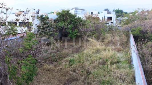 Priv Rosa Moreno s/n,, Jiutepec, Morelos 62564, México