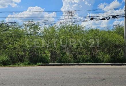 Mérida, 尤卡坦 97238, 墨西哥