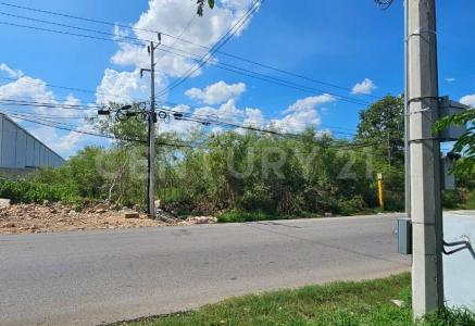 Mérida, 尤卡坦 97238, 墨西哥