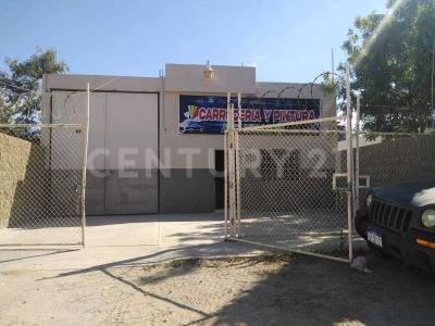 La Paz, Güney Aşağı Kaliforniya 23084, Meksika