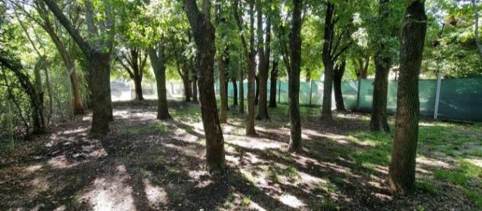 El Hornero 3466, Luján, GBA Oeste 6712, Argentinien