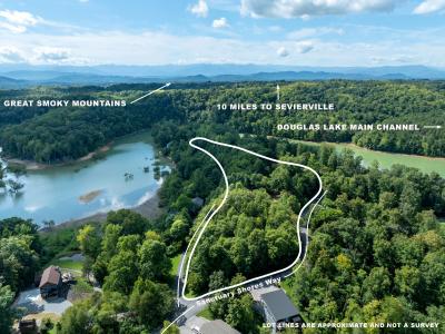 1034 Sanctuary Shores Way, Sevierville, Tennessee 37876, Estados Unidos