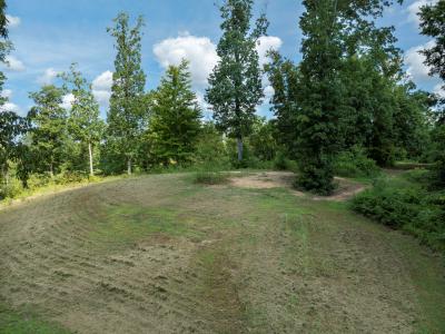 1034 Sanctuary Shores Way, Sevierville, Tennessee 37876, Estados Unidos