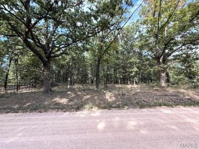 13025 Industry Road, Libano, Missouri 65536, Stati Uniti