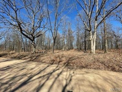 13025 Industry Road, Liban, Missouri 65536, États-Unis