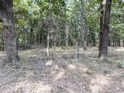 13025 Industry Road, Liban, Missouri 65536, États-Unis