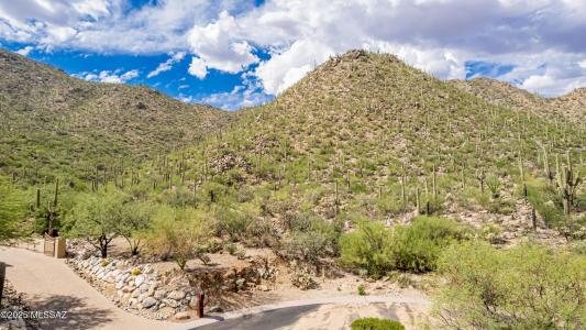 15285 N Silent Vista Court 132, Marana, Arizona 85658, USA