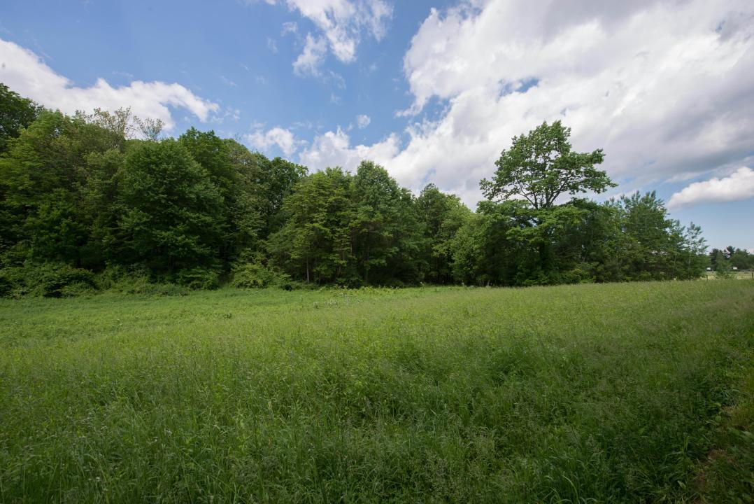 4160 Center Point Rd, Pinson, 앨라바마 35126, 미국