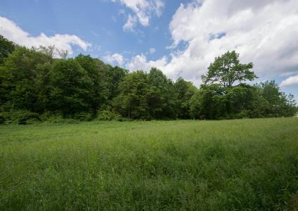 4160 Center Point Rd, Pinson, 앨라바마 35126, 미국