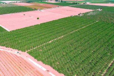 10511 White Crane Road, Atwater, كاليفورنيا 95301, الولايات المتحدة