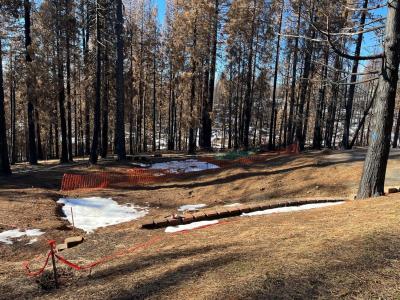 4962 Edgewood Circle, Grizzly Flats, California 95636