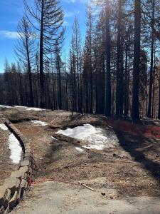 4962 Edgewood Circle, Grizzly Flats, California 95636