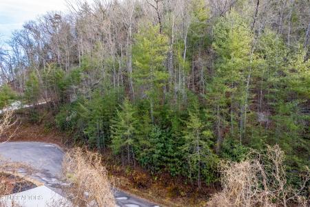 514 Chetola Tr, Townsend, Tennessee 37882