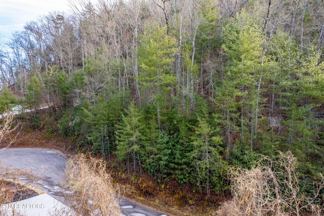 514 Chetola Tr, Townsend, Tennessee 37882