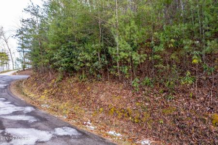 514 Chetola Tr, Townsend, Tennessee 37882