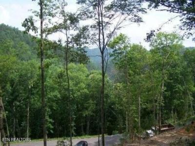 514 Chetola Tr, Townsend, Tennessee 37882