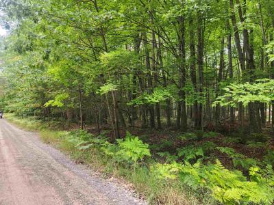 Lots 239, 240, 241 Havenwood, Lake, Michigan 48632, USA