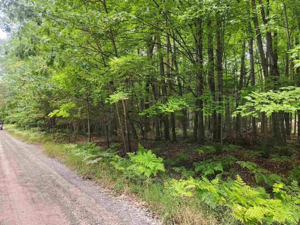 Lots 239, 240, 241 Havenwood, Озеро, Мичиган 48632, Соединенные Штаты