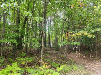 Lots 239, 240, 241 Havenwood, Озеро, Мичиган 48632, Соединенные Штаты