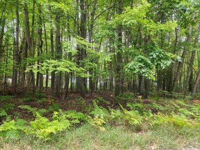 Lots 239, 240, 241 Havenwood, Озеро, Мичиган 48632, Соединенные Штаты