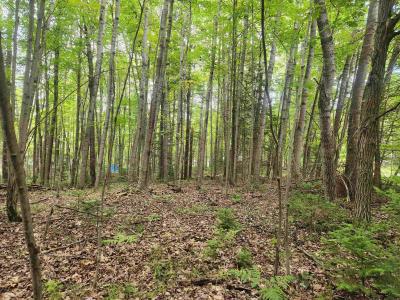 Lots 239, 240, 241 Havenwood, Озеро, Мичиган 48632, Соединенные Штаты