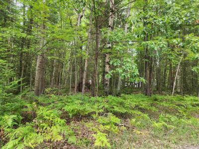 Lots 239, 240, 241 Havenwood, Озеро, Мичиган 48632, Соединенные Штаты