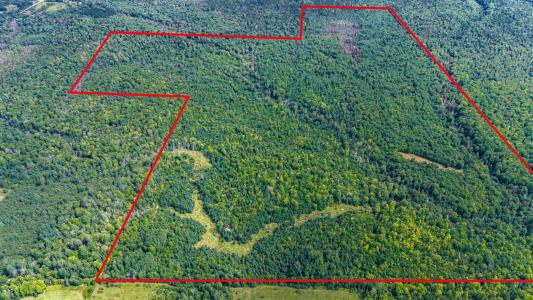 5999 Penegor Rd., Mass City, Wisconsin 49948, USA