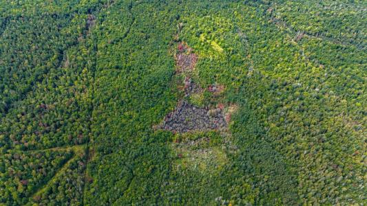 5999 Penegor Rd., Mass City, Wisconsin 49948