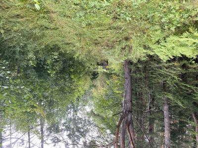 40 AC ON Margaret Lake Rd, Three Lakes, Wisconsin 54562, USA