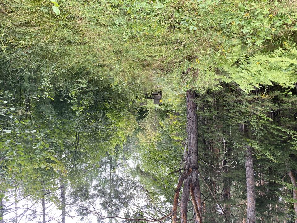 40 AC ON Margaret Lake Rd, Three Lakes, ウィスコンシン 54562, アメリカ合衆国