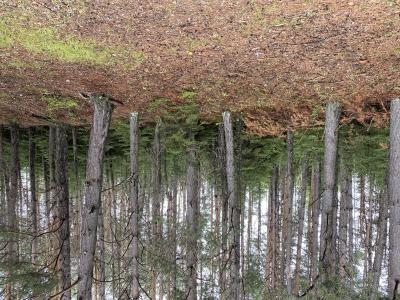 40 AC ON Margaret Lake Rd, Three Lakes, ウィスコンシン 54562, アメリカ合衆国