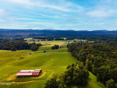 135 Circle Drive, Surgoinsville, 田纳西州 37873, 美国