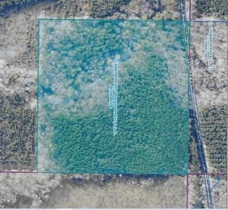 2 TOM LEE Road, Robeline, Louisiana 71469, USA