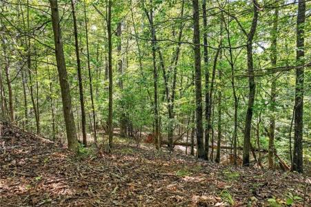 0 Robinson Road, Dahlonega, Georgia 30533, USA