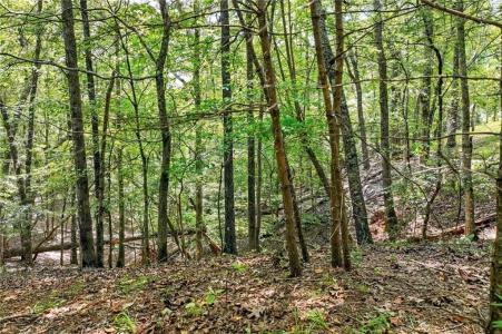 0 Robinson Road, Dahlonega, Georgia 30533, USA