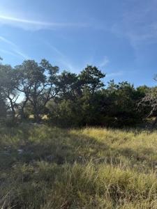 Lot 75 Pinnacle Dr , 75, Fredericksburg, Texas 78624