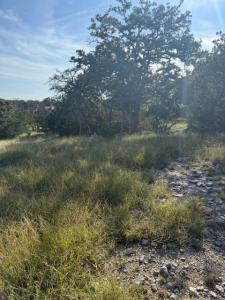 Lot 75 Pinnacle Dr , 75, Fredericksburg, Texas 78624