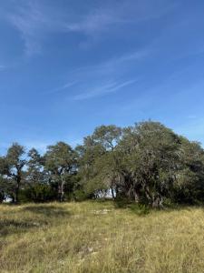 Lot 75 Pinnacle Dr , 75, Fredericksburg, Texas 78624