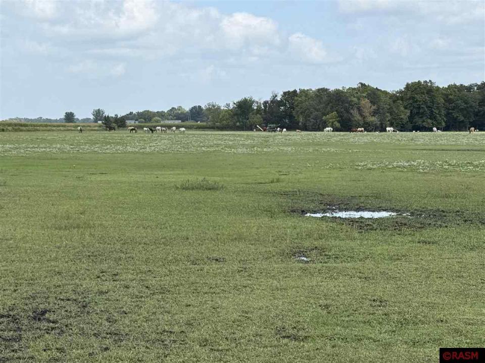 38388 512th Street, North Mankato, Minnesota 56003, Estados Unidos