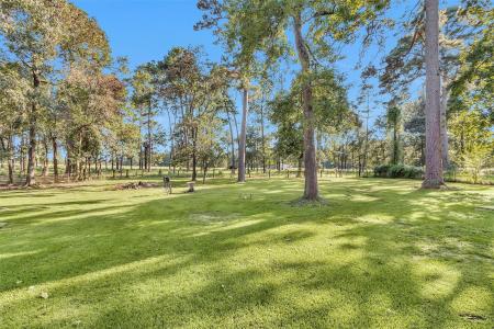 119 Pavey Circle, New Waverly, Texas 77358, Stati Uniti