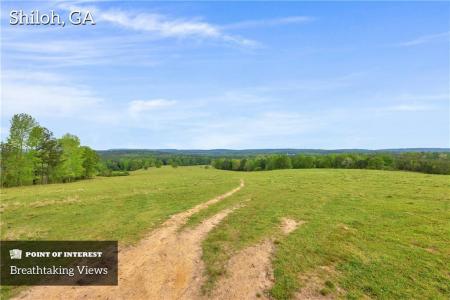 2450 Chestnut Grove Road, Shiloh, Géorgie 31826, États-Unis