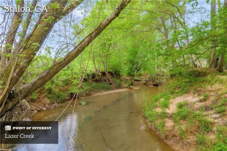 2450 Chestnut Grove Road, Shiloh, Géorgie 31826, États-Unis