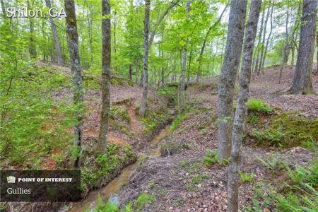 2450 Chestnut Grove Road, Shiloh, Géorgie 31826, États-Unis