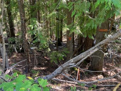 LOT 43 VICKERS TRAIL, Anglemont, Colúmbia Britânica V0E 1M8, CANADÁ