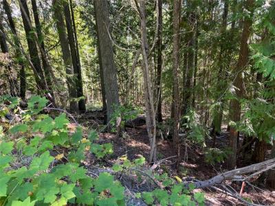 LOT 43 VICKERS TRAIL, Anglemont, ブリティッシュコロンビア V0E 1M8, カナダ