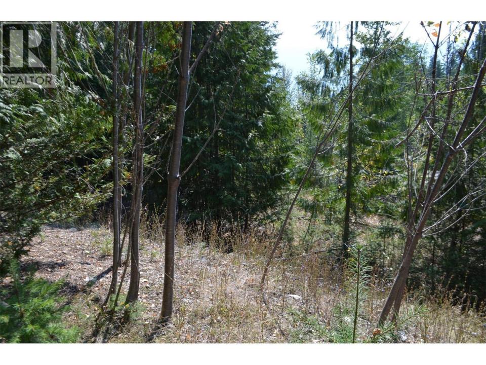 FRASER ROAD, Anglemont, ブリティッシュコロンビア V0E 1M8, カナダ