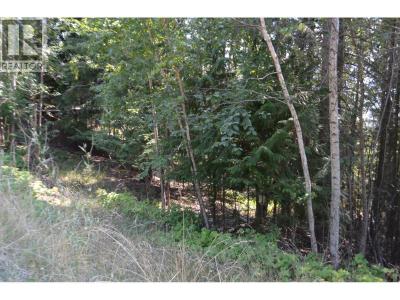 FRASER ROAD, Anglemont, ブリティッシュコロンビア V0E 1M8, カナダ